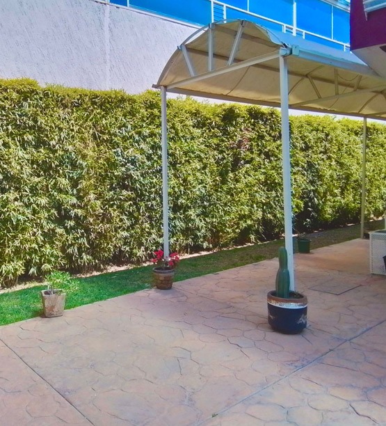 Ecología del Colegio Helen Keller